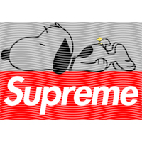 Brand Catalog-ZX 985